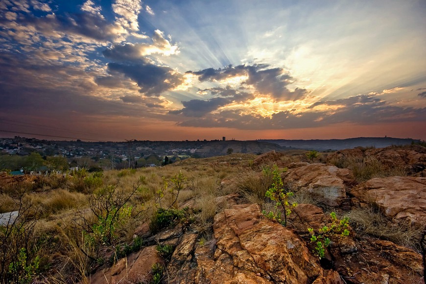 Melville Koppies Nature Reserve