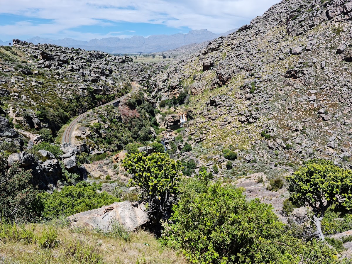Fynbos Nature reserve