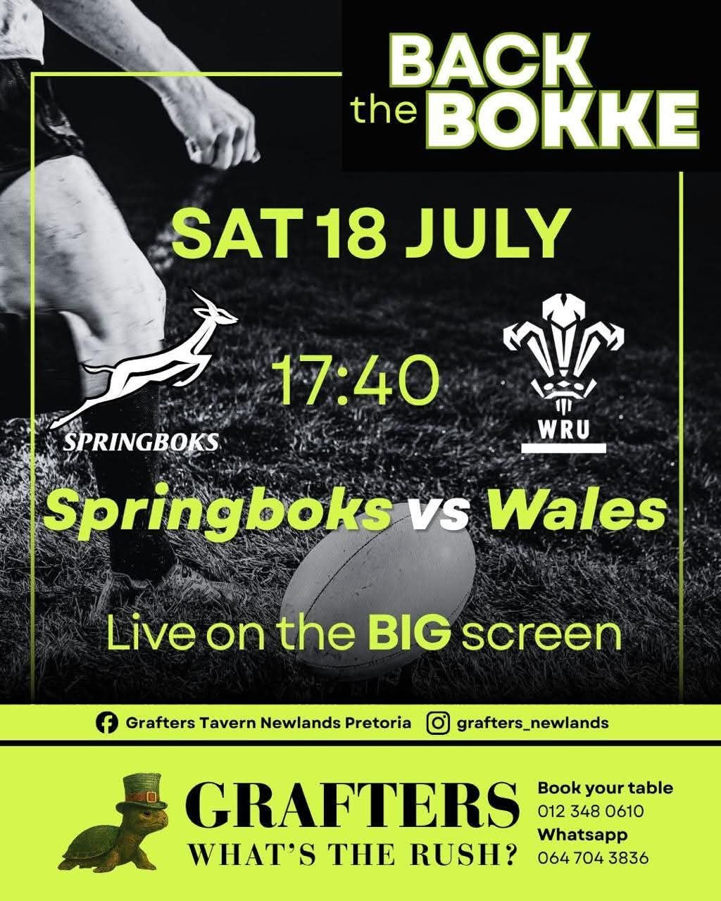 Springboks vs Wales