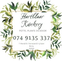 Hartblaar Kwekery, Brits - Image 2