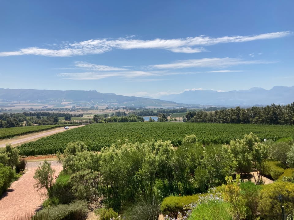 VATS Wine Club - Gallery