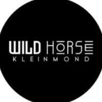 Wild Horse Kleinmond - Image 2